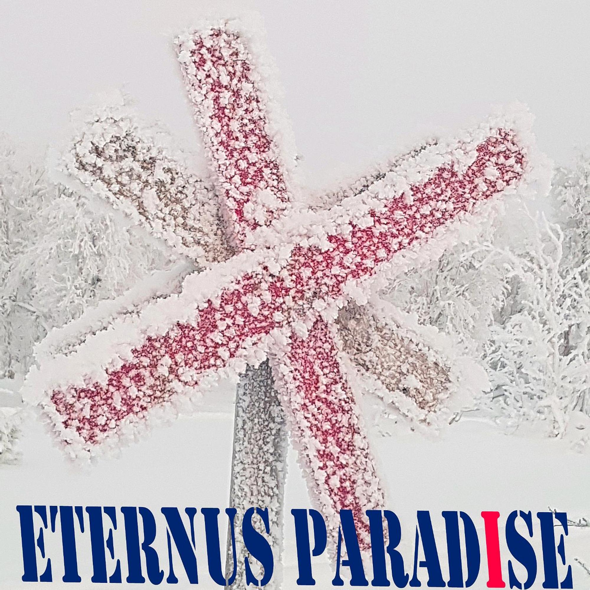 Eternus Paradise Tarnaby Bagian luar foto